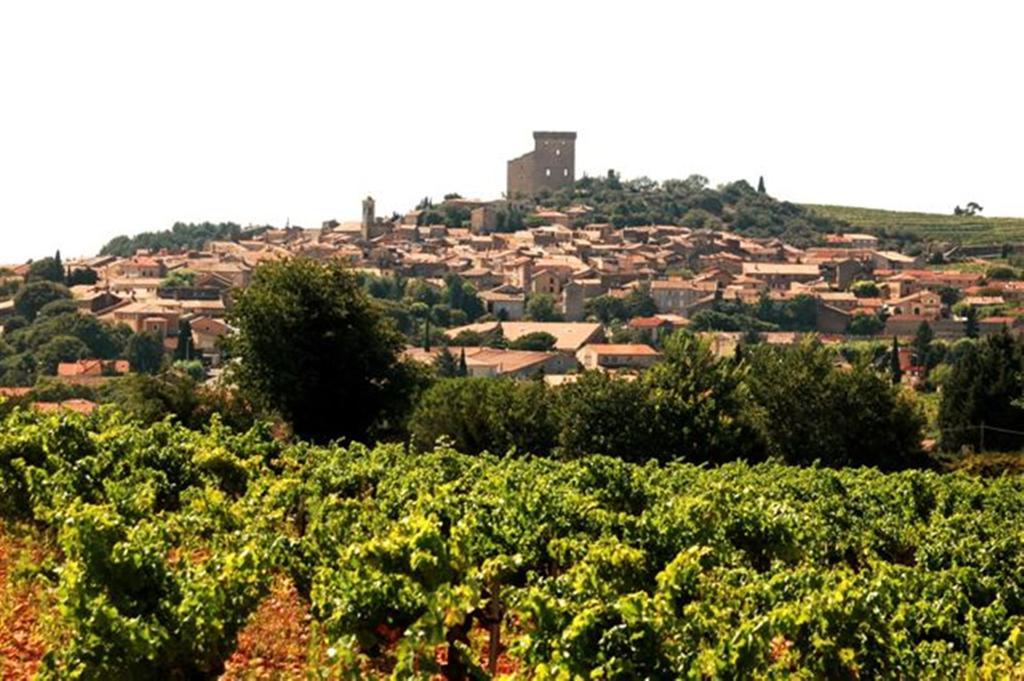 Le Mas De L'Amandier Saint-Saturnin-les-Avignon Exterior photo